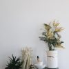Define Atelier - Tütü